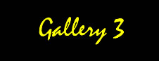 Gallery 3